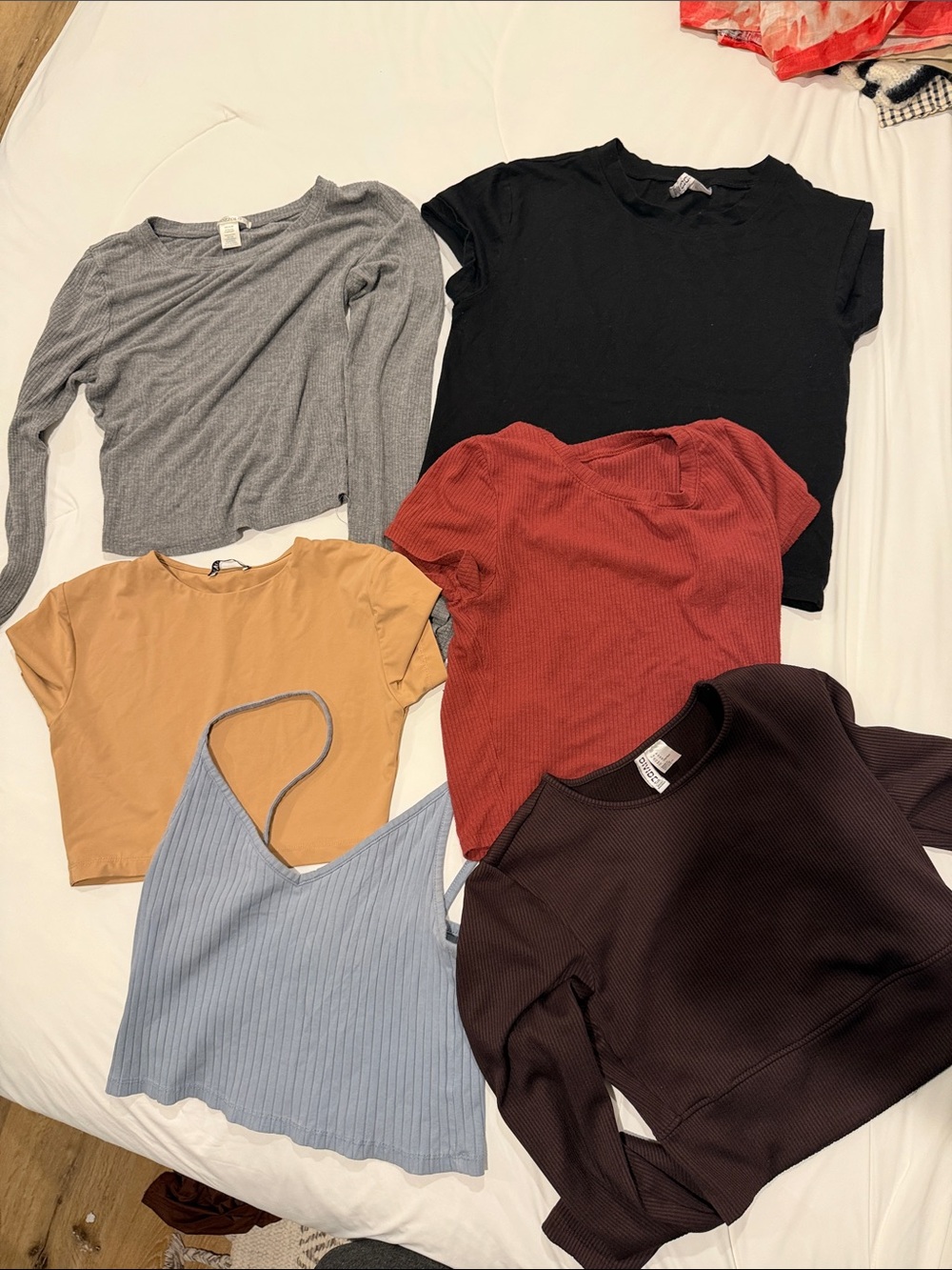 Women's Ribbed Crewneck Sweater - Black, Gray, Rust, Mustard, Light Blue, Brown